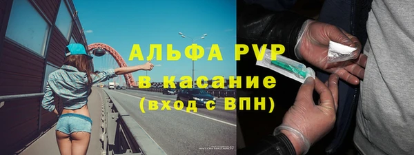 Альфа ПВП Верея