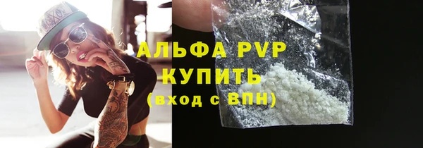 Альфа ПВП Верея