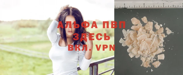 Альфа ПВП Верея