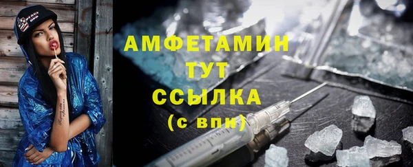 Альфа ПВП Верея
